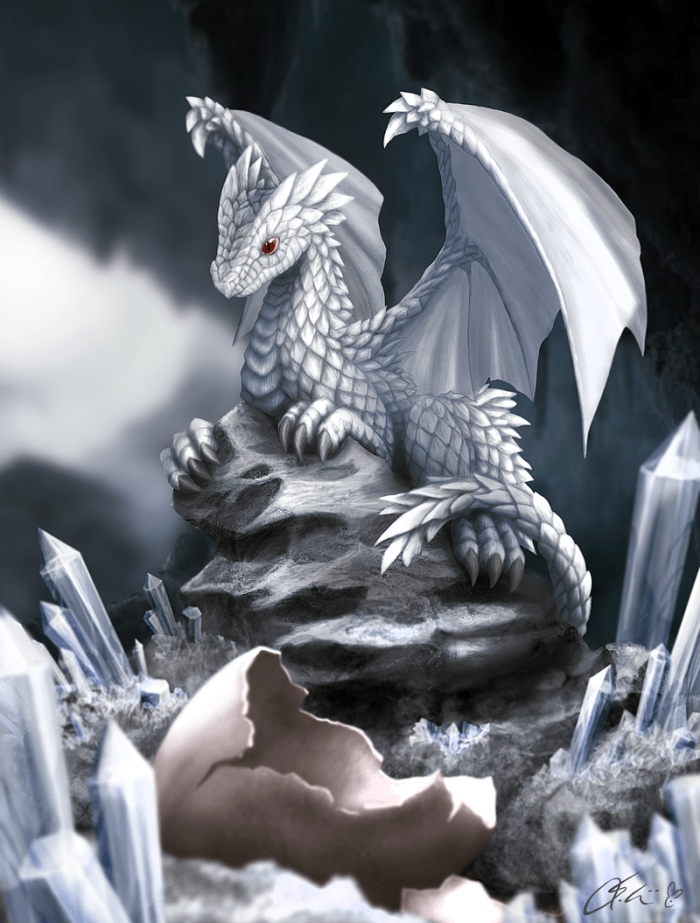 white_dragon_hatchling_by_dashase