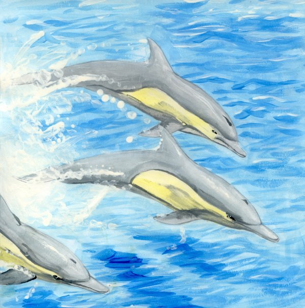 art_project_dolphins_by_shadowedlight