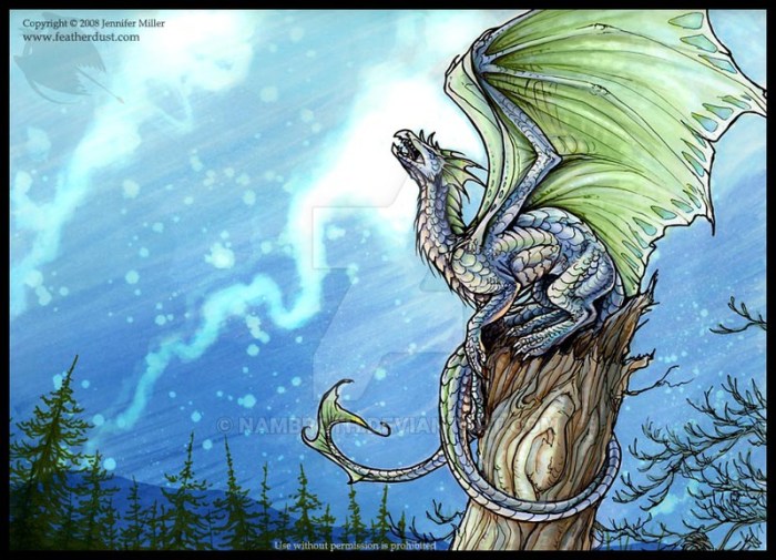 spirit_caller_dragon_by_nambroth-d1crbrc