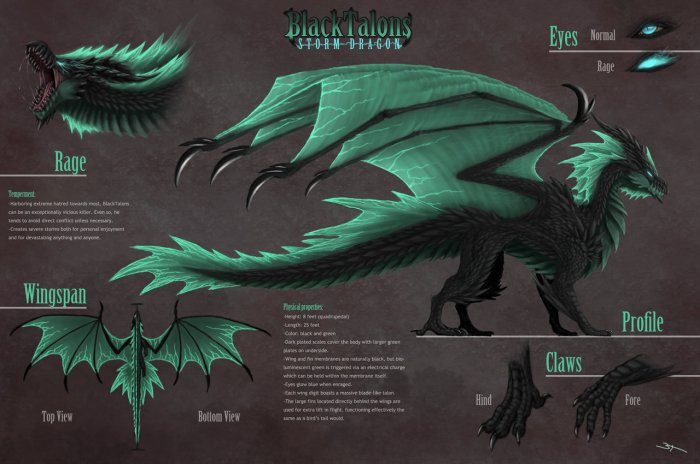 blacktalons_reference_sheet_by_blacktalons