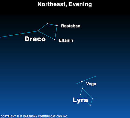 Draco Constellation Detail (Rastaban and Eltanin)