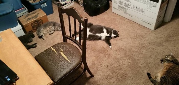 Moon Kids Writing Room