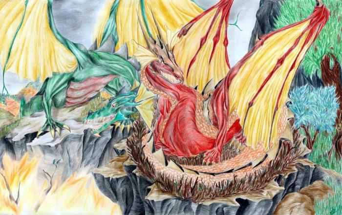 old___dragon_pair_by_mieronna