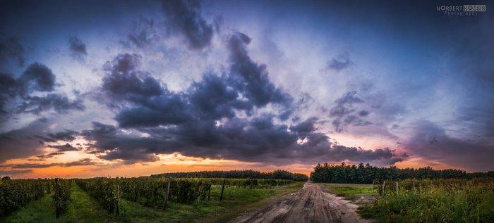 cool__windy_autumn_sunset_by_norbertkocsis