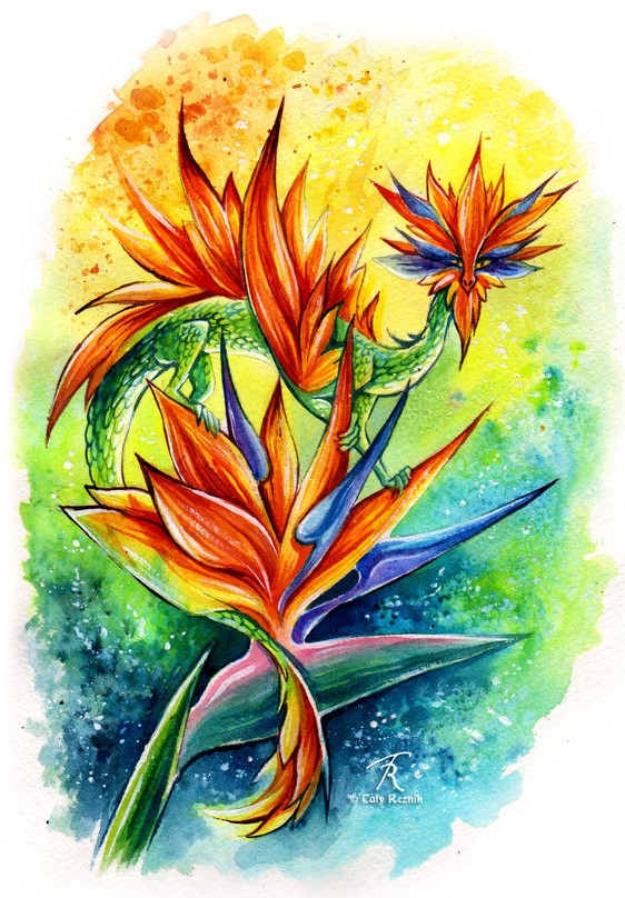 bird_of_paradise_fairy_dragon_by_trollgirl