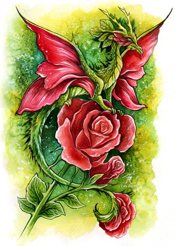 red_rose_fairy_dragon_by_trollgirl