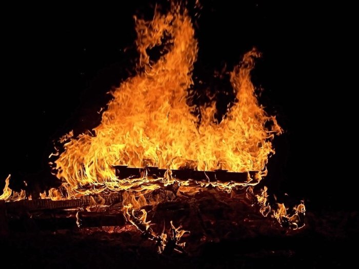 bonfire_dragon_by_artie3d