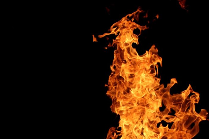 firedragon_by_emeraldfalconfeather