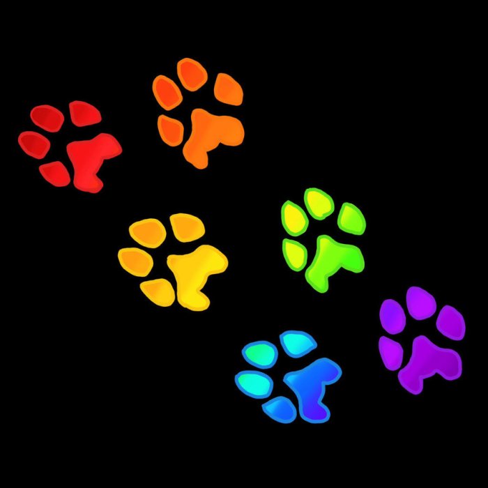 rainbow_paw_prints__by_winters_hart