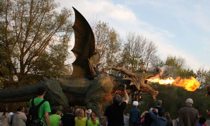 MA-Bewegter-Drache-2_front_large