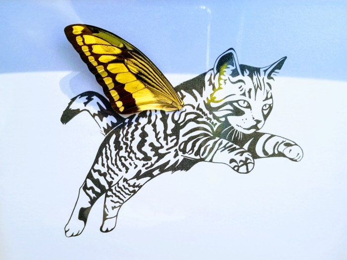 Isms Butterfly Art 02