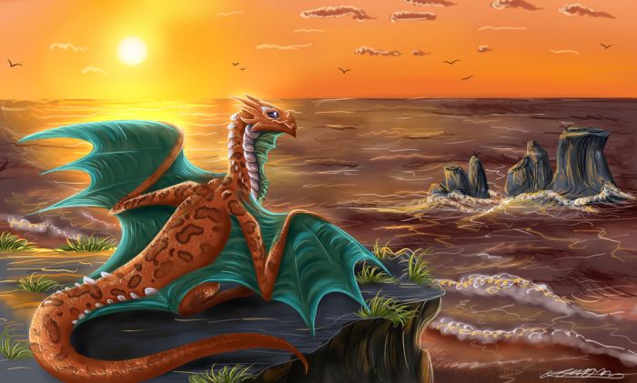 beach_woes_by_tory_the_fuzzball